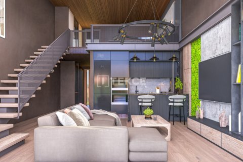 1 bedroom Penthouse in Phu Ngai, Vietnam No. 14124 3