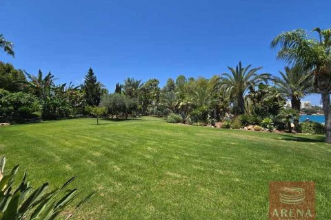 4 chambres Villa à Ayia Napa, Cyprus No. 31534 6