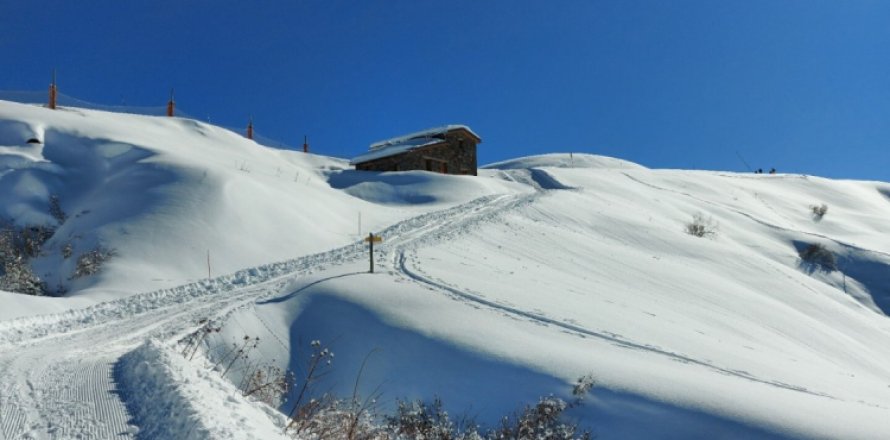 3 rooms House in Les Belleville, France No. 99594