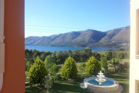 Дом с 4 спальнями в Янина, Греция №58014 6