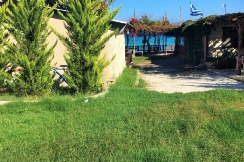 3 bedrooms Villa in Chalkidiki, Greece No. 51106 4