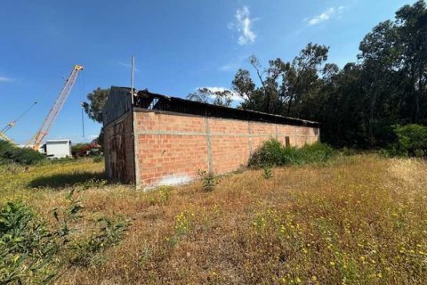 Commercial property in Limassol, Cyprus No. 104456 8