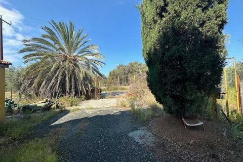 Commercial property in Limassol, Cyprus No. 104456 5