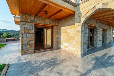 5 rooms Villa in Binh Duong, Vietnam No. 21549 9