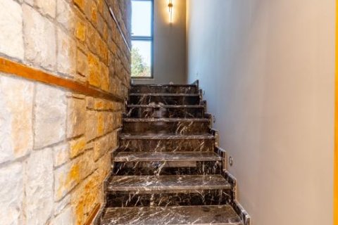 5 rooms Villa in Binh Duong, Vietnam No. 21549 10