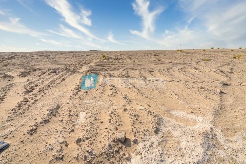 3904m² Land in Al Mearag City, Vietnam No. 95414 4