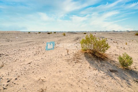 3904m² Land in Al Mearag City, Vietnam No. 95414 5