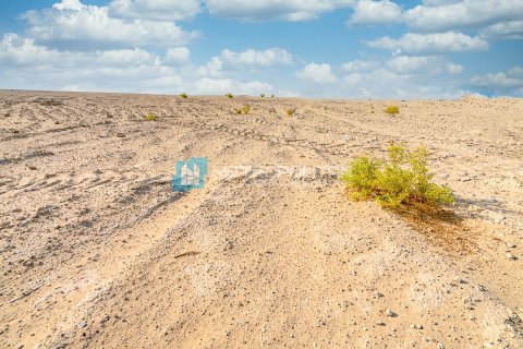 3904m² Land in Al Mearag City, Vietnam No. 95414 2