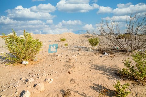 3904m² Land in Al Mearag City, Vietnam No. 95414 3