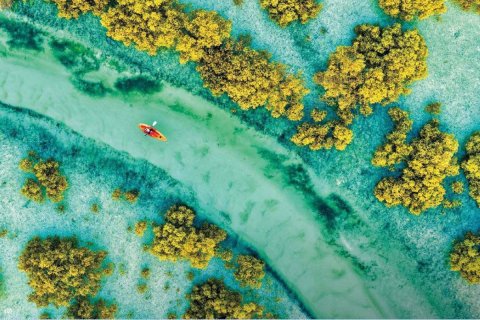 3 bedrooms Townhouse in Binh Duong, Vietnam No. 95407 10