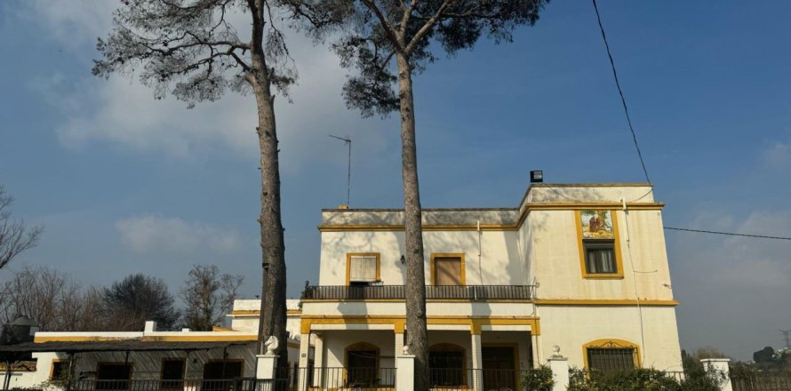 10 chambres Appartement à Riba-roja de Turia, Spain No. 125509