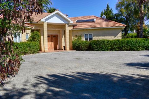 4 bedrooms Bungalow in Agioi Trimithias, Cyprus No. 36850 18
