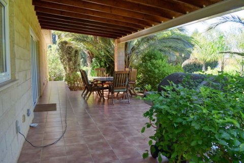 4 bedrooms Bungalow in Agioi Trimithias, Cyprus No. 36850 24