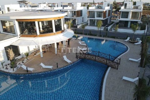 2 bedrooms Penthouse in Bao Thuan, Vietnam No. 16638 3