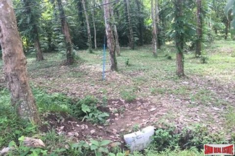4720m² Land in Phuket, Thailand No. 96916 6