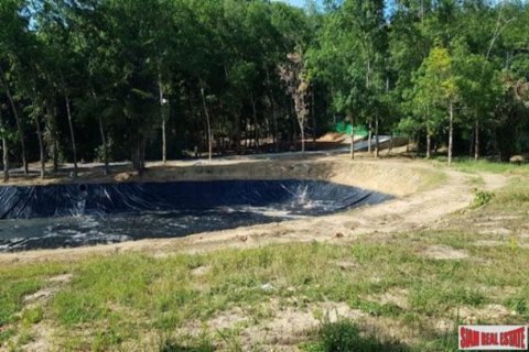 4720m² Land in Phuket, Thailand No. 96916 11