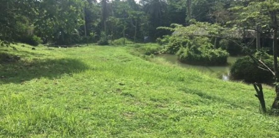 4720m² Land on the Phuket, Thailand No. 96916