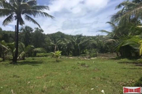 4720m² Land in Phuket, Thailand No. 96916 3