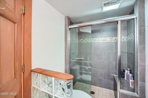 3 bedrooms Condo  in Vail, USA No. 81118 23