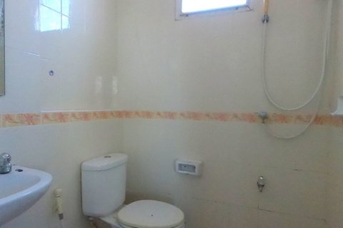 37 dormitorios Commercial property en Chiang Mai, Thailand No. 97679 6