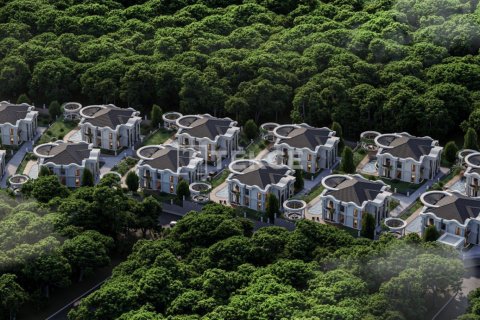 8 chambres Villa à An Phu Trung, Vietnam No. 12719 13