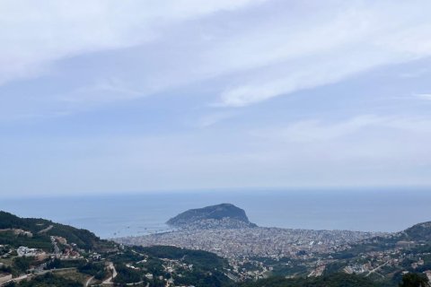 5 rooms Villa à Chau Lang, Vietnam No. 21275 27