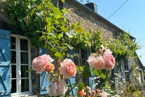 6 dormitorios House en Sixt-sur-Aff, France No. 75949 2