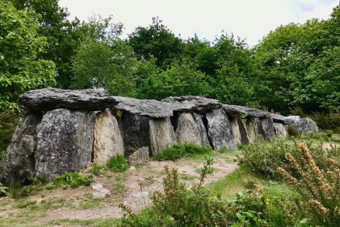 6 dormitorios House en Sixt-sur-Aff, France No. 75949 27