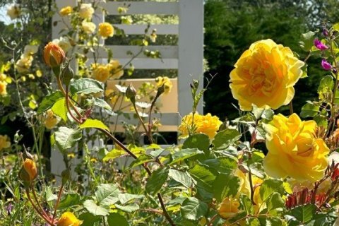 6 dormitorios House en Sixt-sur-Aff, France No. 75949 12