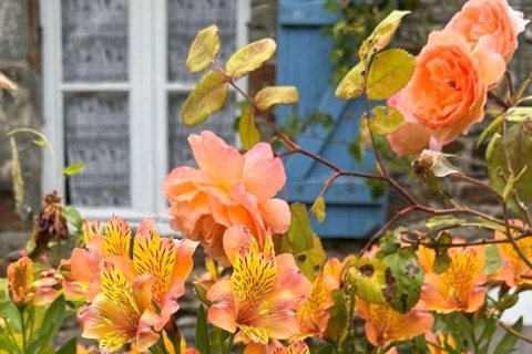 6 dormitorios House en Sixt-sur-Aff, France No. 75949 10