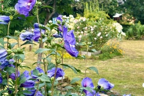 6 dormitorios House en Sixt-sur-Aff, France No. 75949 21