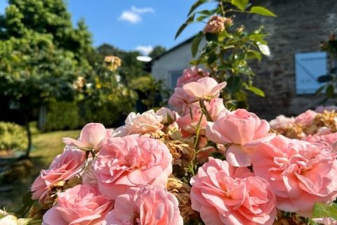 6 dormitorios House en Sixt-sur-Aff, France No. 75949 18