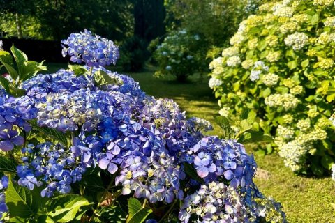 6 dormitorios House en Sixt-sur-Aff, France No. 75949 16