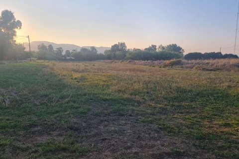 Land in Zakynthos, Greece No. 69506 3