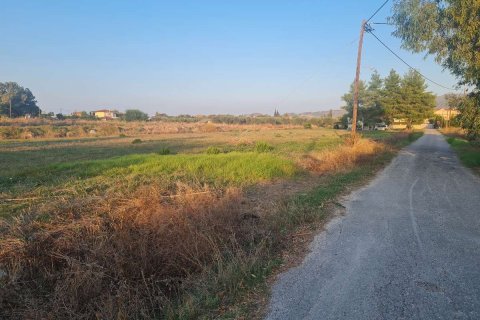 Land in Zakynthos, Greece No. 69506 6