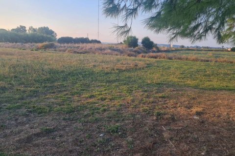 Land in Zakynthos, Greece No. 69506 5