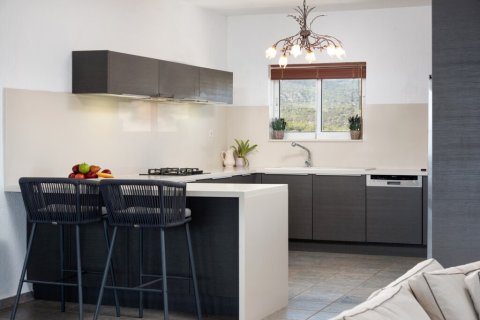 290m² Villa in Agios Nikolaos, Greece No. 54929 28