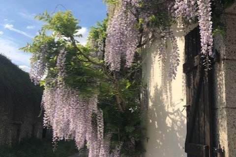 5 bedrooms House in Chateauneuf-du-Faou, France No. 69432 5