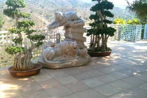 Studio Villa à Limassol, Cyprus No. 105733 4