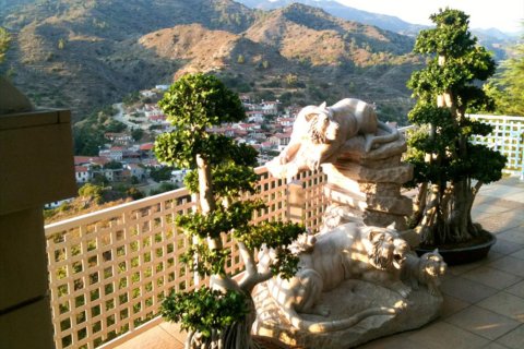 Studio Villa à Limassol, Cyprus No. 105733 12