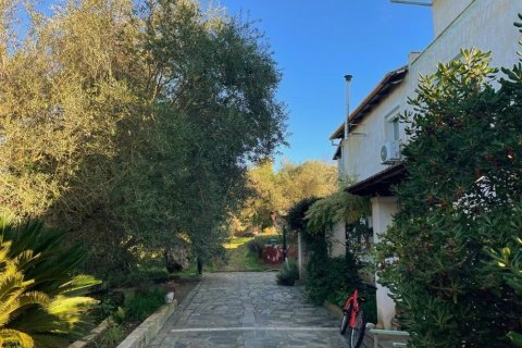 1 bedroom Villa in Corfu, Greece No. 61638 10