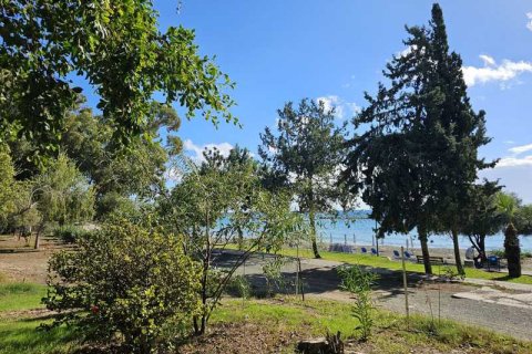 Квартира с 2 спальнями в Агиос Тихонас, Кипр №72242 3