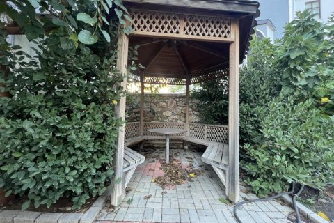 2 rooms Apartment in Phong Thanh Tay A, Vietnam No. 17718 4