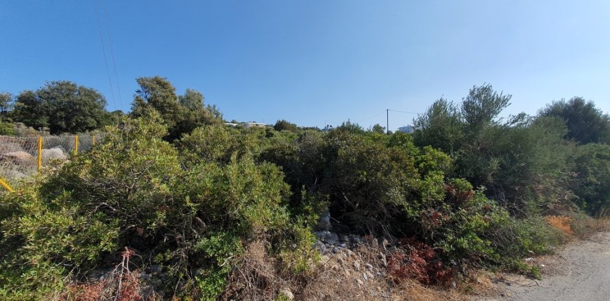 5423m² Land in Agios Nikolaos, Greece No. 109550