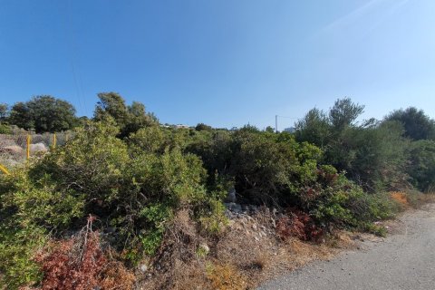 5423m² Land en Agios Nikolaos, Greece No. 109550