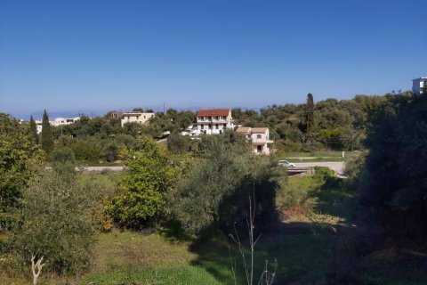 6500m² Land in Corfu, Greece No. 55900 10