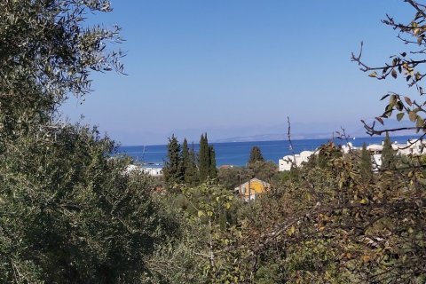 6500m² Land in Corfu, Greece No. 55900 1