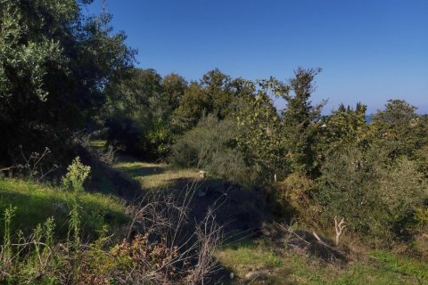 6500m² Land in Corfu, Greece No. 55900 12