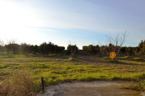 4 bedrooms House in Epanomi, Greece No. 117885 22