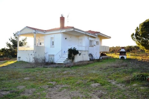 4 bedrooms House in Epanomi, Greece No. 117885 19